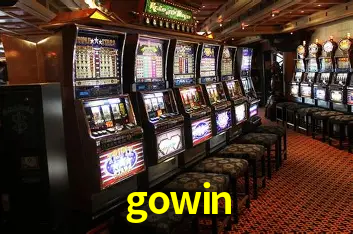 Interface Premium gowin