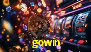 Promoção Relâmpago gowin
